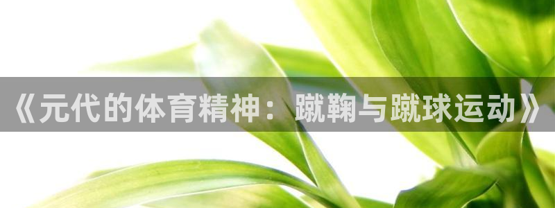 球派体育app：《元代的体育精神：蹴鞠与蹴球运动》
