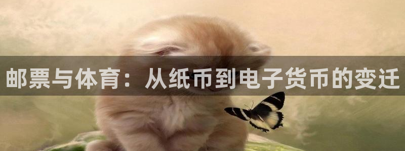 球派体育app下载安装：邮票与体育：从纸币到电子货币的变迁
