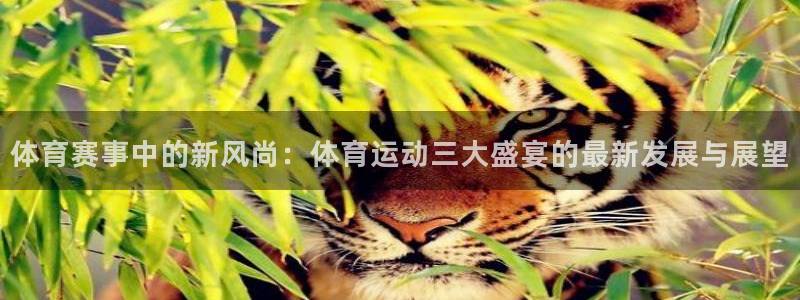 球派体育app旧版本：体育赛事中的新风尚：体育运动三大盛宴的最新发展与展望