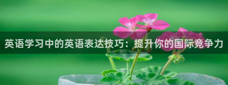 球派体育网址入口：英语学习中的英语表达技巧：提升你的国际竞争力