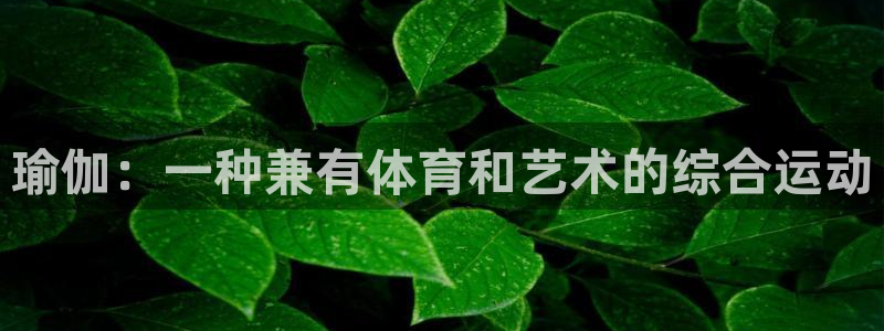 球派体育直播官网：瑜伽：一种兼有体育和艺术的综合运动