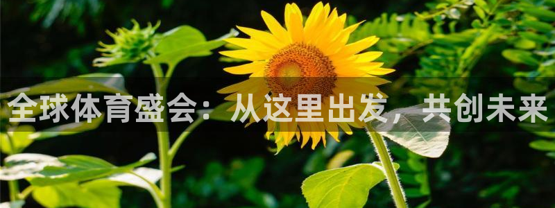 球派体育苹果下载：全球体育盛会：从这里出发，共创未来