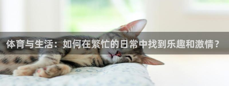 球派体育有风险吗：体育与生活：如何在繁忙的日常中找到乐趣和激情？