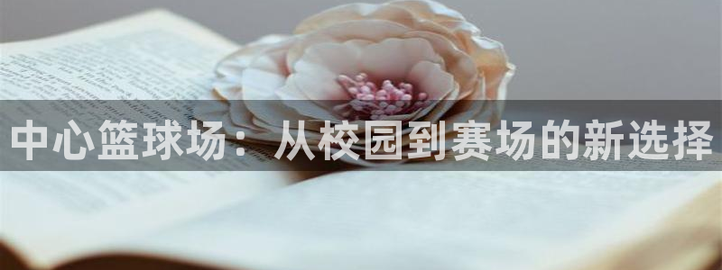 球派体育app正版下载：中心篮球场：从校园到赛场的新选择