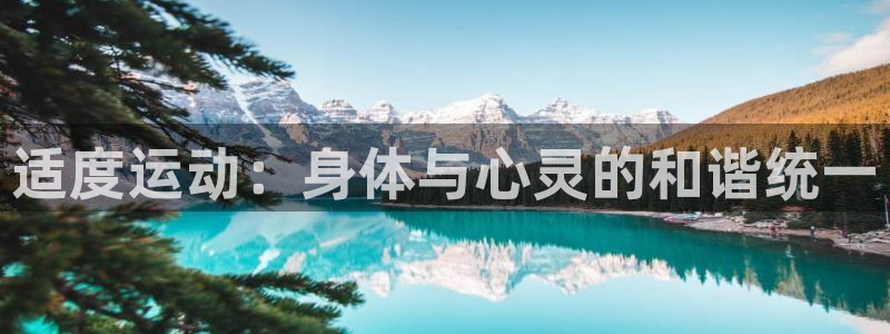 球派体育app下载：适度运动：身体与心灵的和谐统一