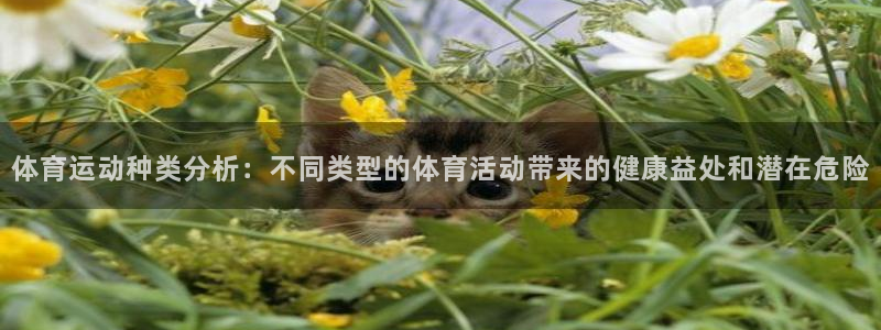球派体育老版本：体育运动种类分析：不同类型的体育活动带来的健康益处和潜在危险
