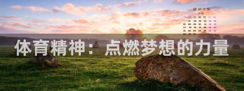 球派体育下载安装：体育精神：点燃梦想的力量